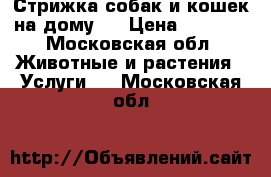 Стрижка собак и кошек на дому.  › Цена ­ 1 300 - Московская обл. Животные и растения » Услуги   . Московская обл.